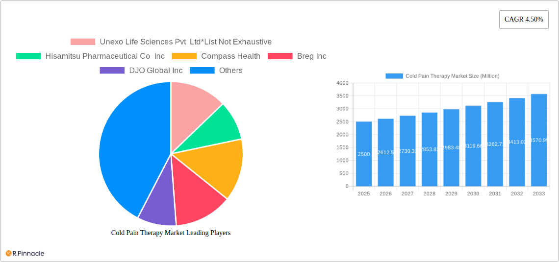 Cold Pain Therapy Market Research Report - Market Size, Growth & Forecast