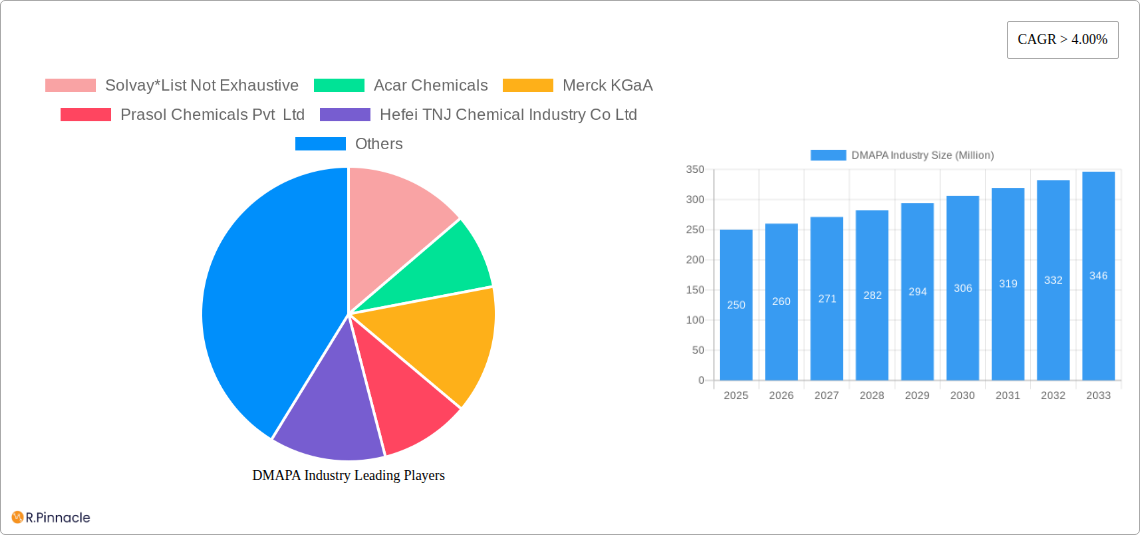 DMAPA Industry Research Report - Market Size, Growth & Forecast