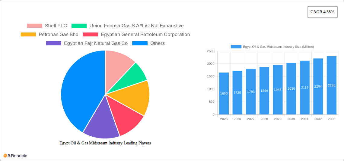 Egypt Oil & Gas Midstream Industry Research Report - Market Size, Growth & Forecast
