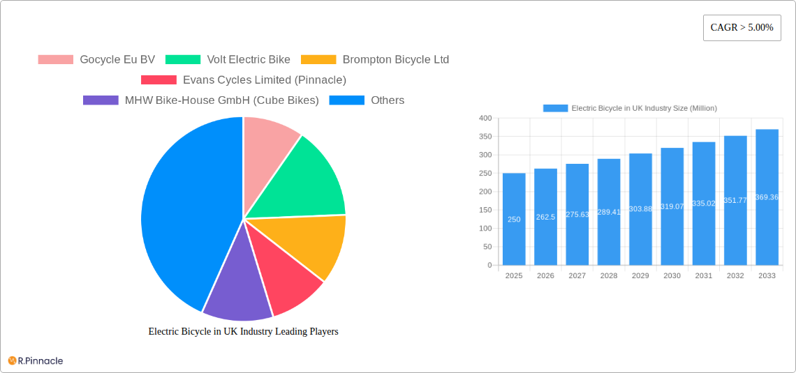 Electric Bicycle in UK Industry Research Report - Market Size, Growth & Forecast