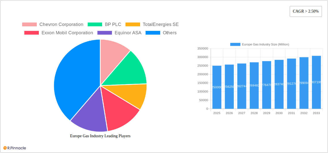 Europe Gas Industry Research Report - Market Size, Growth & Forecast
