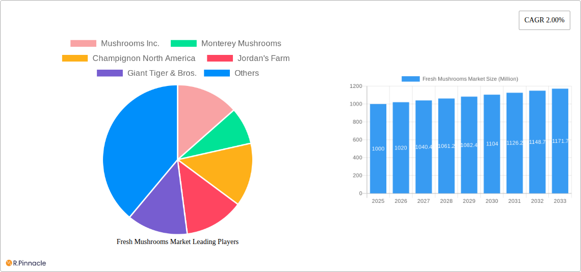 Fresh Mushrooms Market Research Report - Market Size, Growth & Forecast