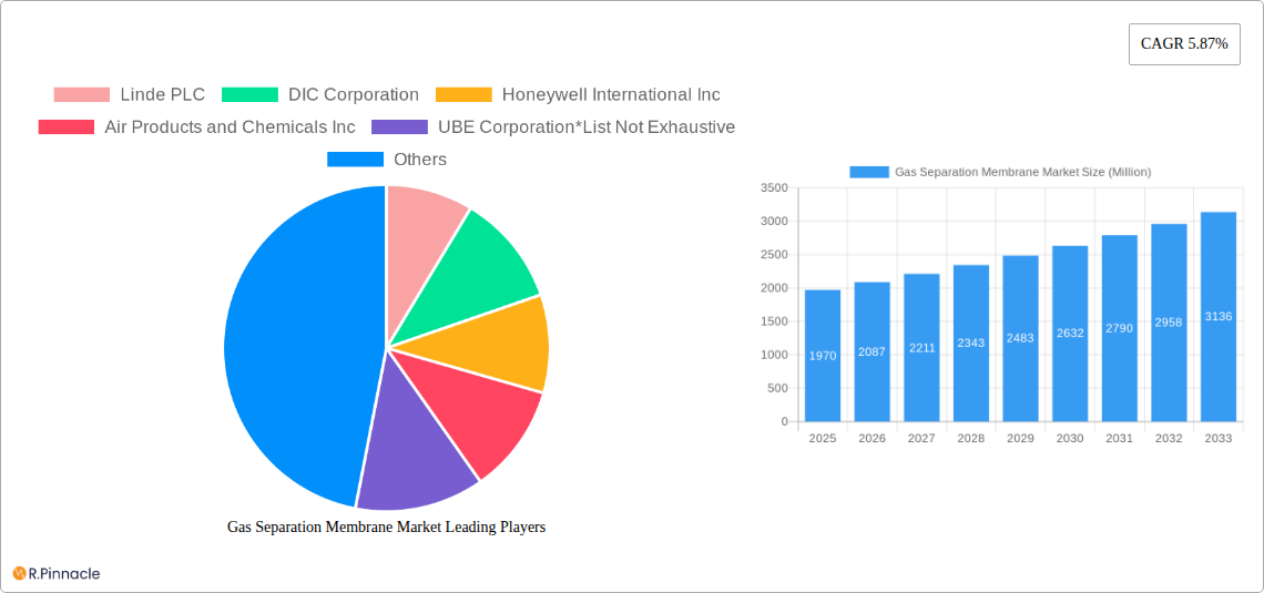 Gas Separation Membrane Market Research Report - Market Size, Growth & Forecast