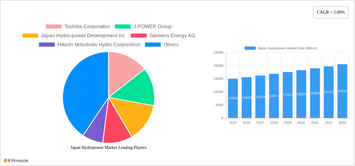 Japan Hydropower Market Research Report - Market Size, Growth & Forecast