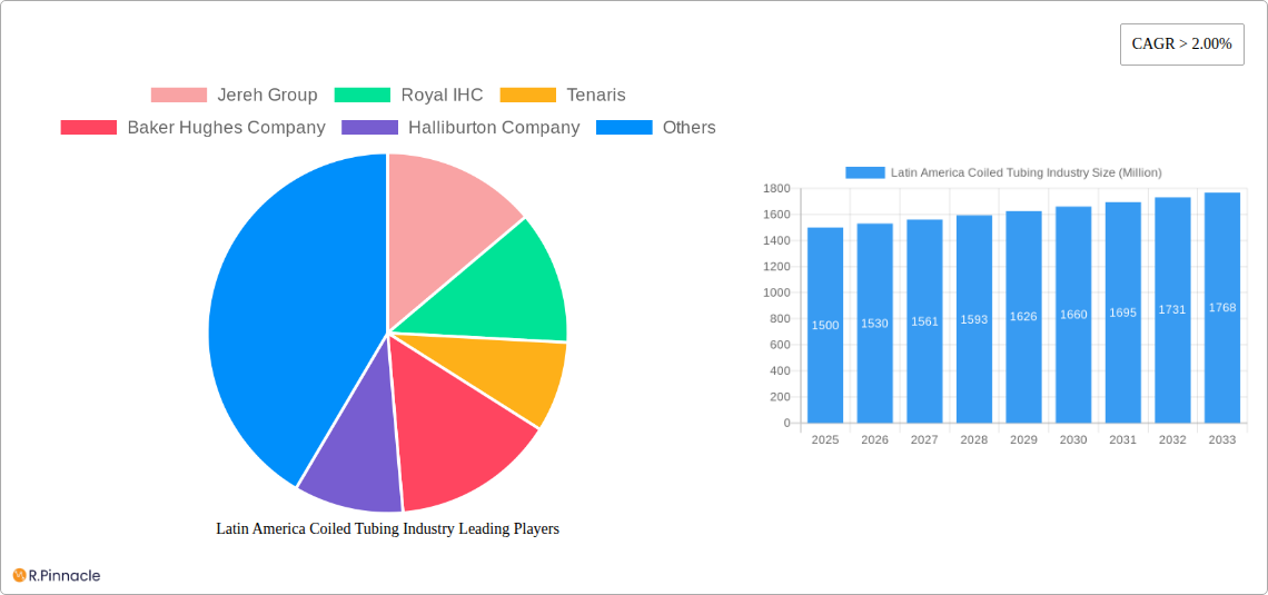 Latin America Coiled Tubing Industry Research Report - Market Size, Growth & Forecast