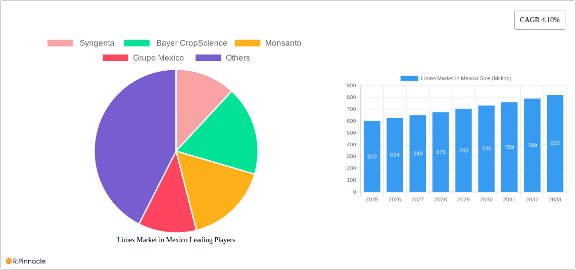 Limes Market in Mexico Research Report - Market Size, Growth & Forecast