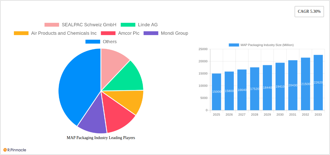MAP Packaging Industry Research Report - Market Size, Growth & Forecast