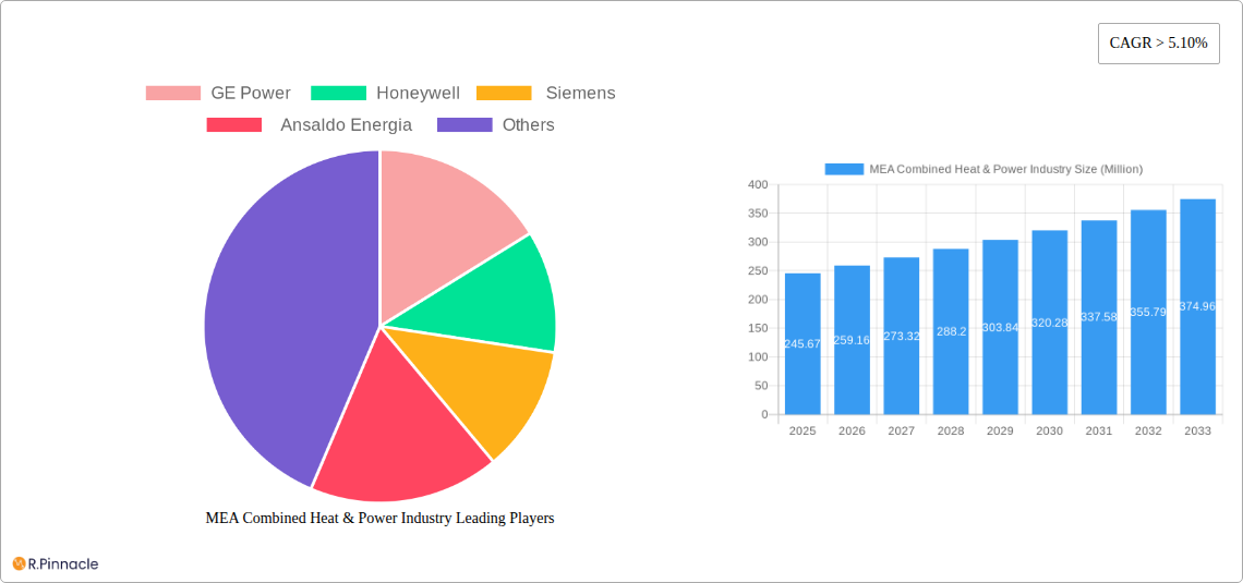 MEA Combined Heat & Power Industry Research Report - Market Size, Growth & Forecast