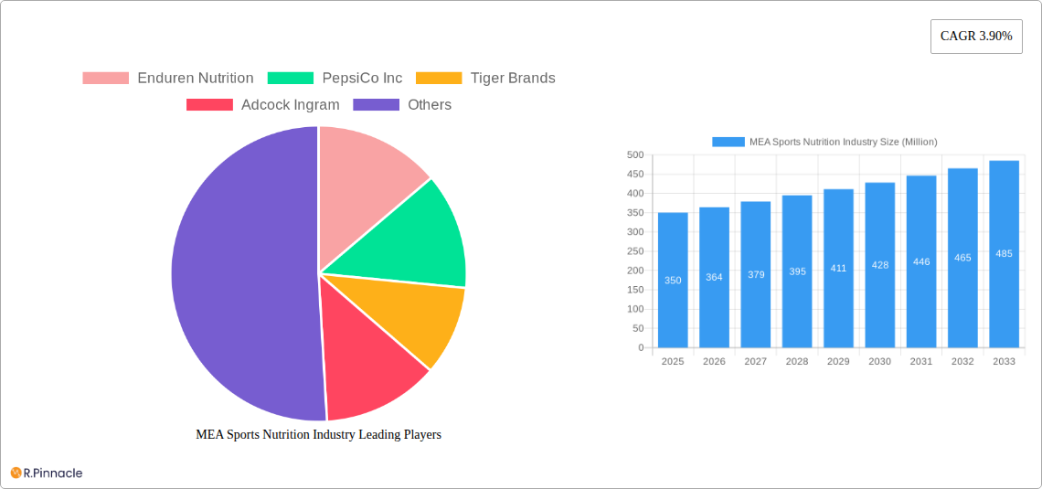 MEA Sports Nutrition Industry Research Report - Market Size, Growth & Forecast