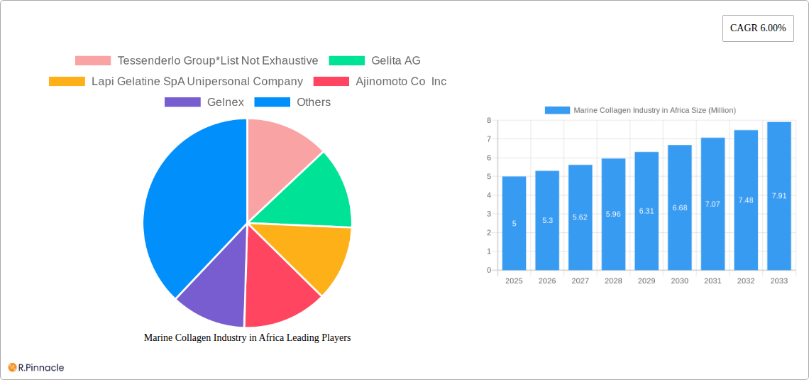 Marine Collagen Industry in Africa Research Report - Market Size, Growth & Forecast