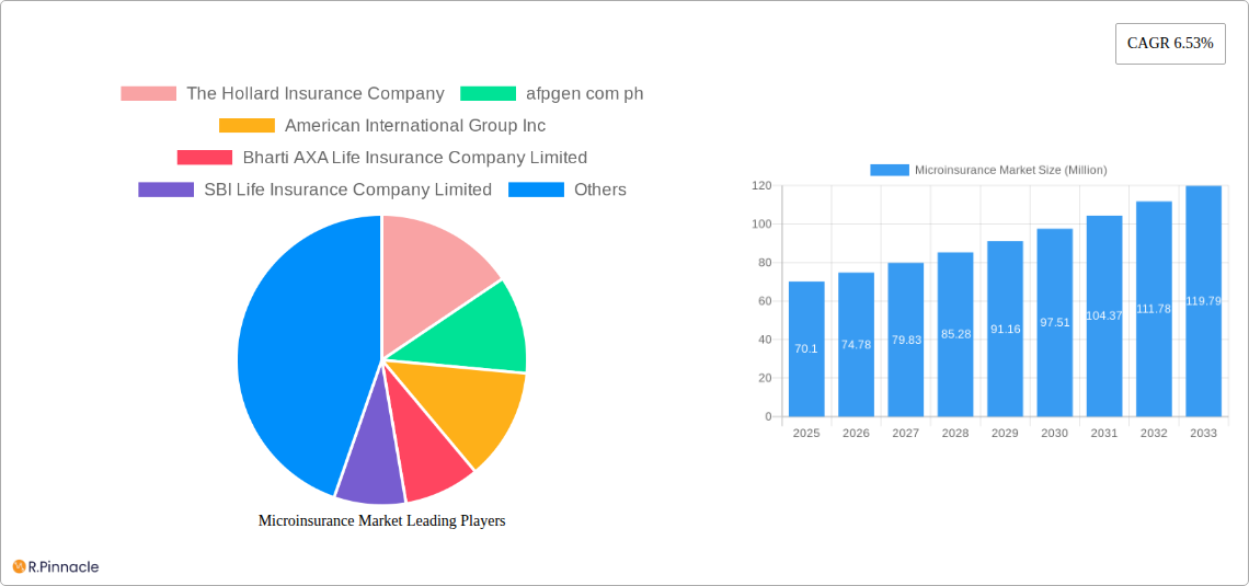 Microinsurance Market Research Report - Market Size, Growth & Forecast