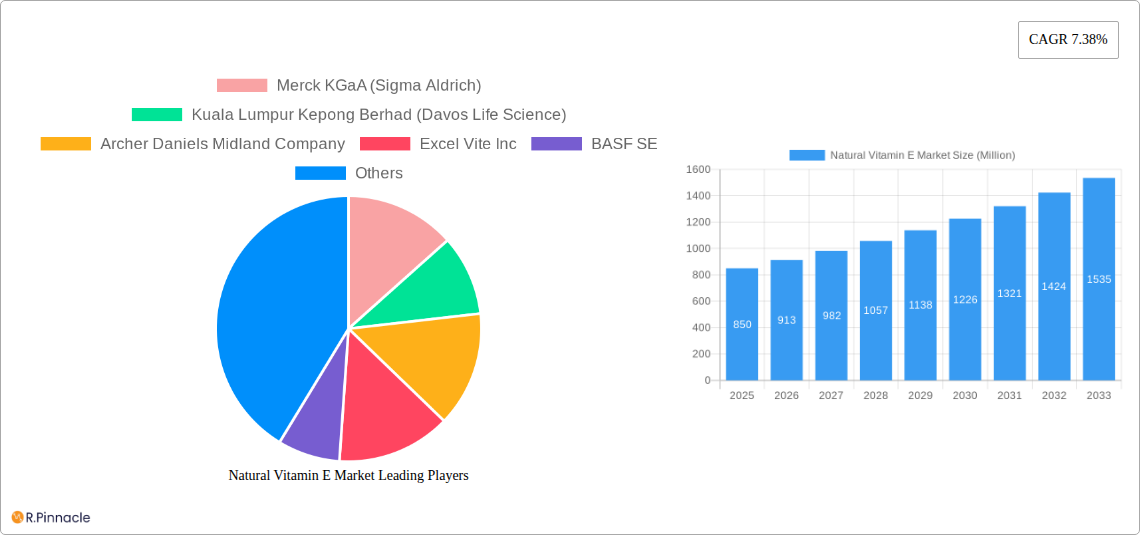 Natural Vitamin E Market Research Report - Market Size, Growth & Forecast