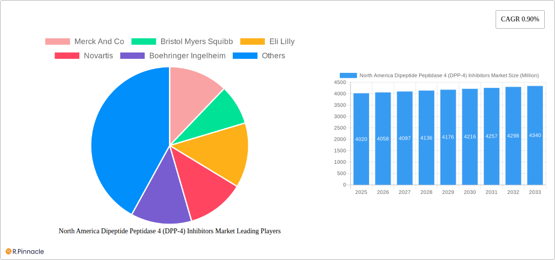 North America Dipeptide Peptidase 4 (DPP-4) Inhibitors Market Research Report - Market Size, Growth & Forecast