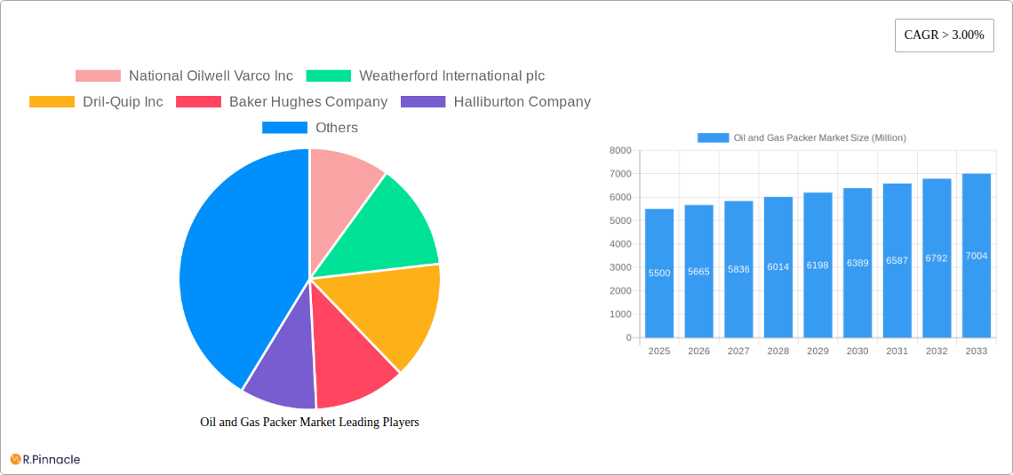 Oil and Gas Packer Market Research Report - Market Size, Growth & Forecast