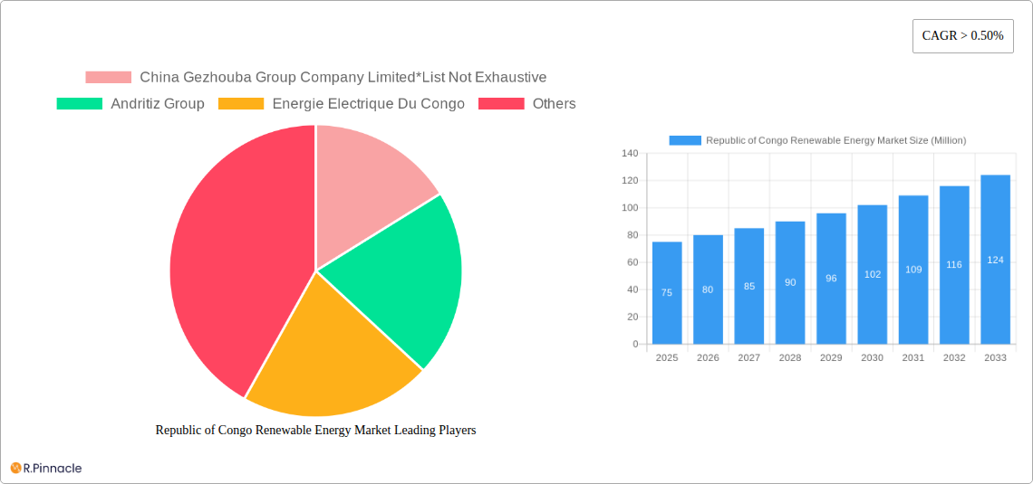 Republic of Congo Renewable Energy Market Research Report - Market Size, Growth & Forecast