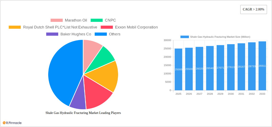 Shale Gas Hydraulic Fracturing Market Research Report - Market Size, Growth & Forecast