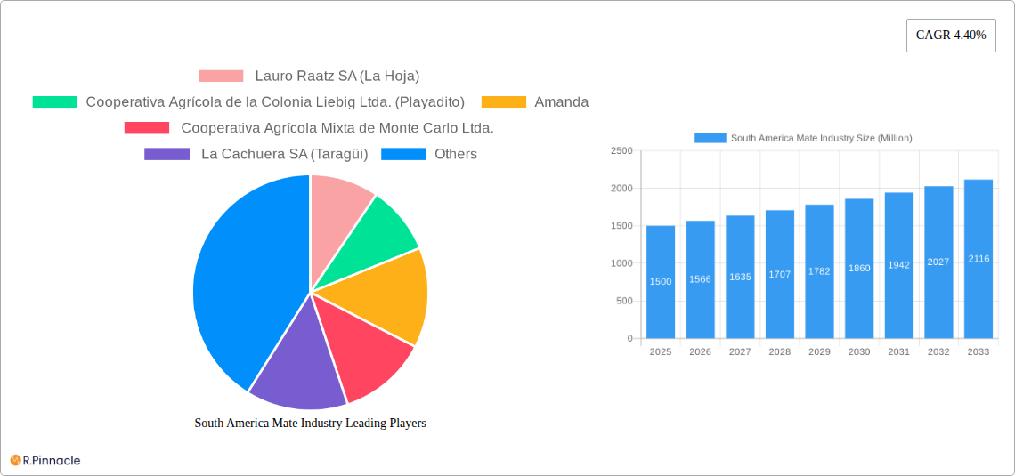 South America Mate Industry Research Report - Market Size, Growth & Forecast