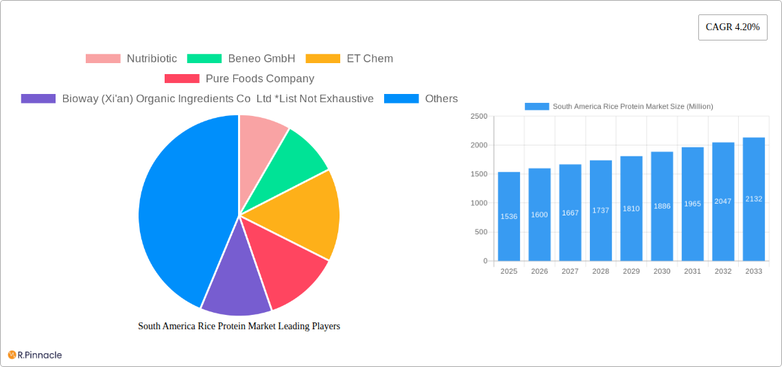 South America Rice Protein Market Research Report - Market Size, Growth & Forecast