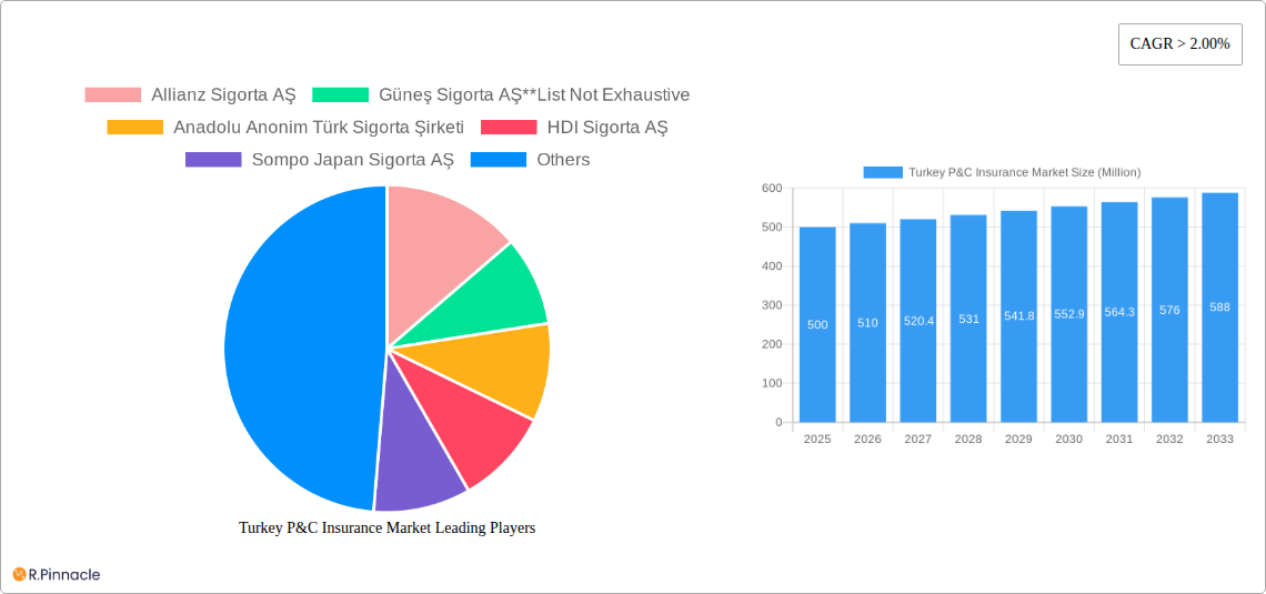 Turkey P&C Insurance Market Research Report - Market Size, Growth & Forecast