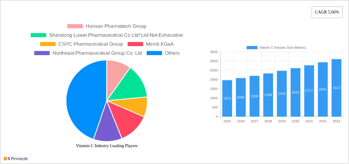 Vitamin C Industry Research Report - Market Size, Growth & Forecast