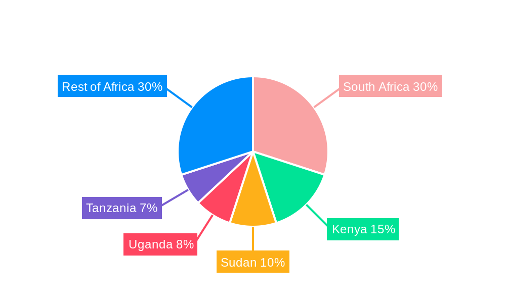Africa Thermal Energy Storage Industry Regional Share