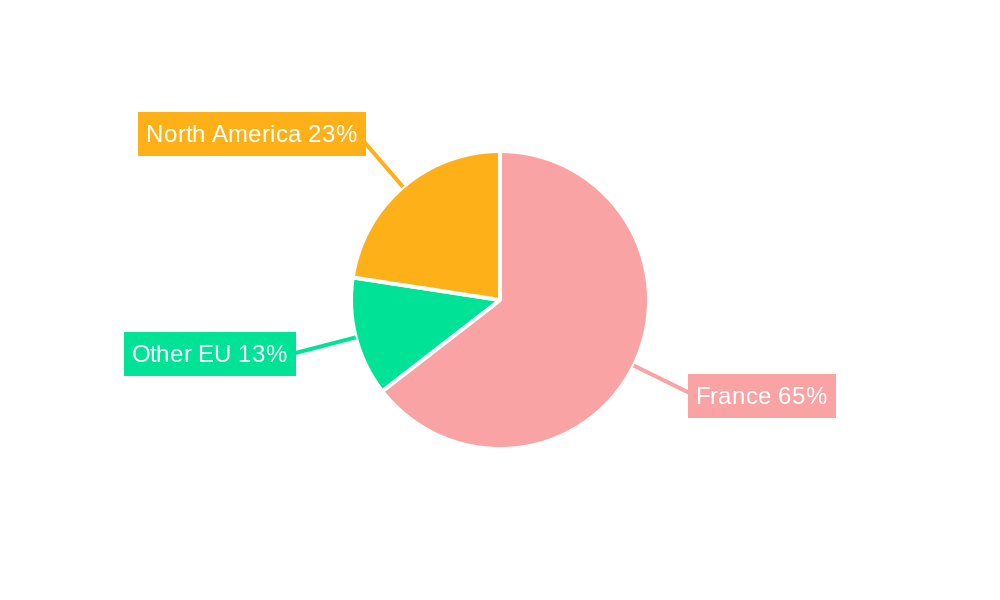Blood Glucose Monitoring Market in France Regional Share