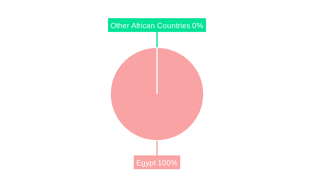 Egypt Food Enzymes Industry Regional Share