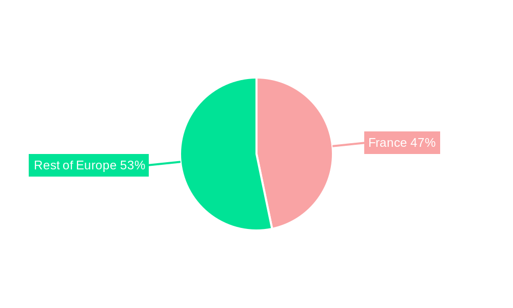 Endoscopy Market in France Regional Share