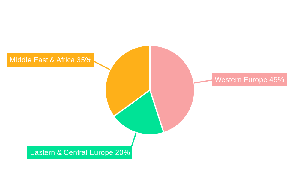 Europe, Middle East and Africa (EMEA) Flexible Packaging Market Regional Share