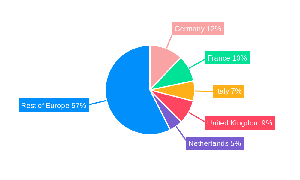Europe Flame Retardant Chemicals Market Regional Share