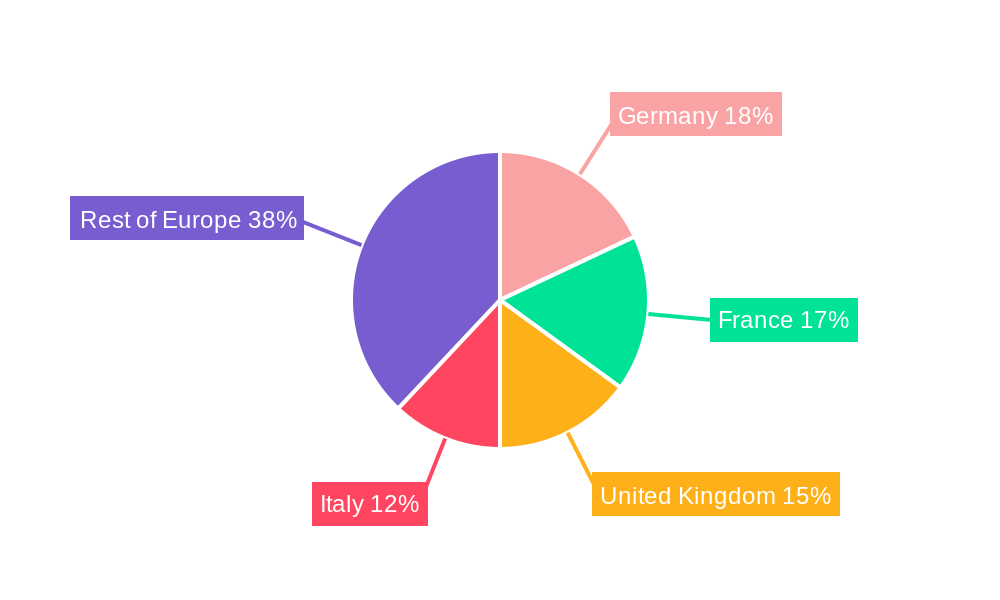 Europe Museums, Historical Sites, Zoos, And Parks Regional Share
