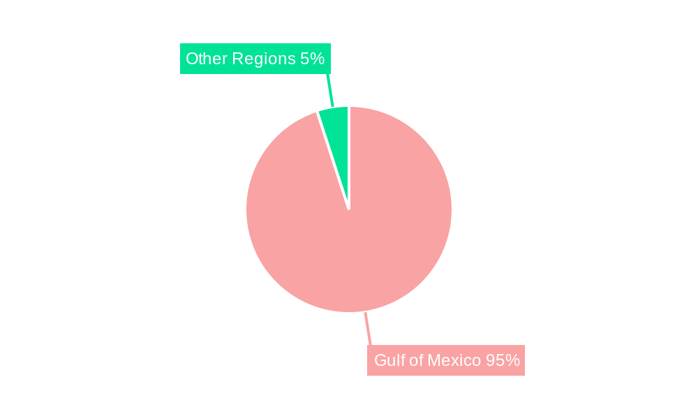 Gulf of Mexico Oil & Gas Decommissioning Market Regional Share