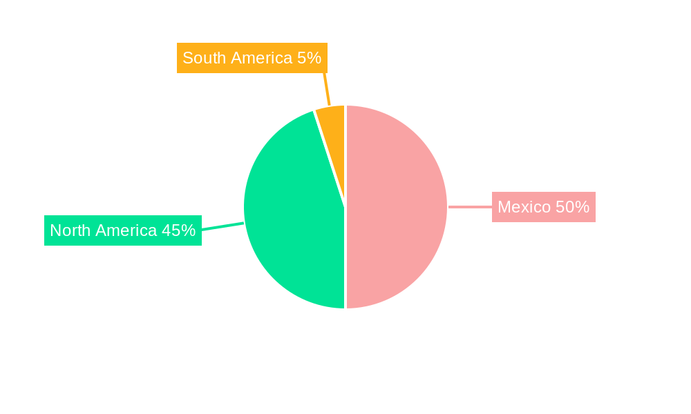 Mexico Airbag Systems Market Regional Share