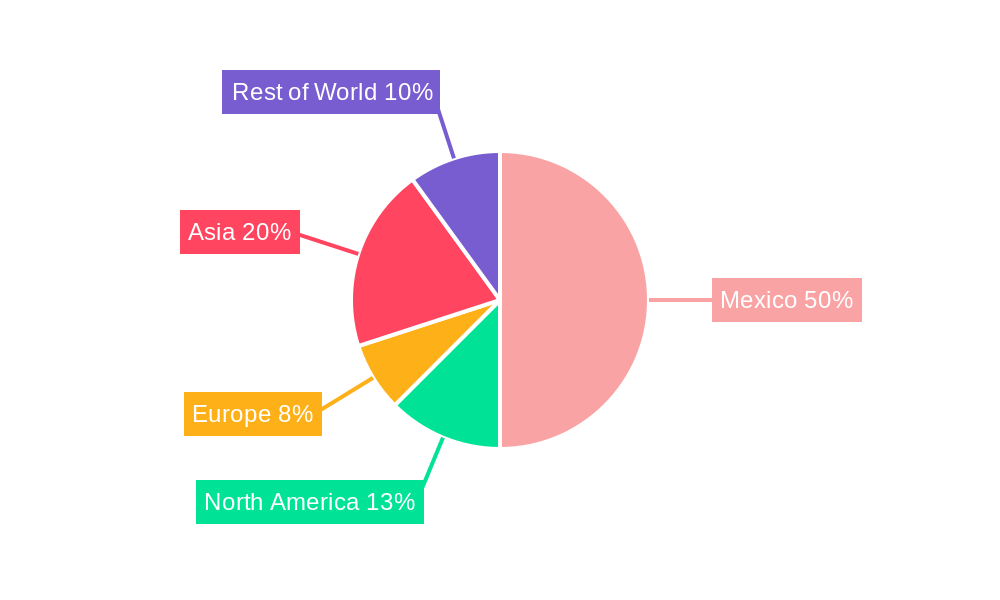Mexico Automotive Actuators Market Regional Share