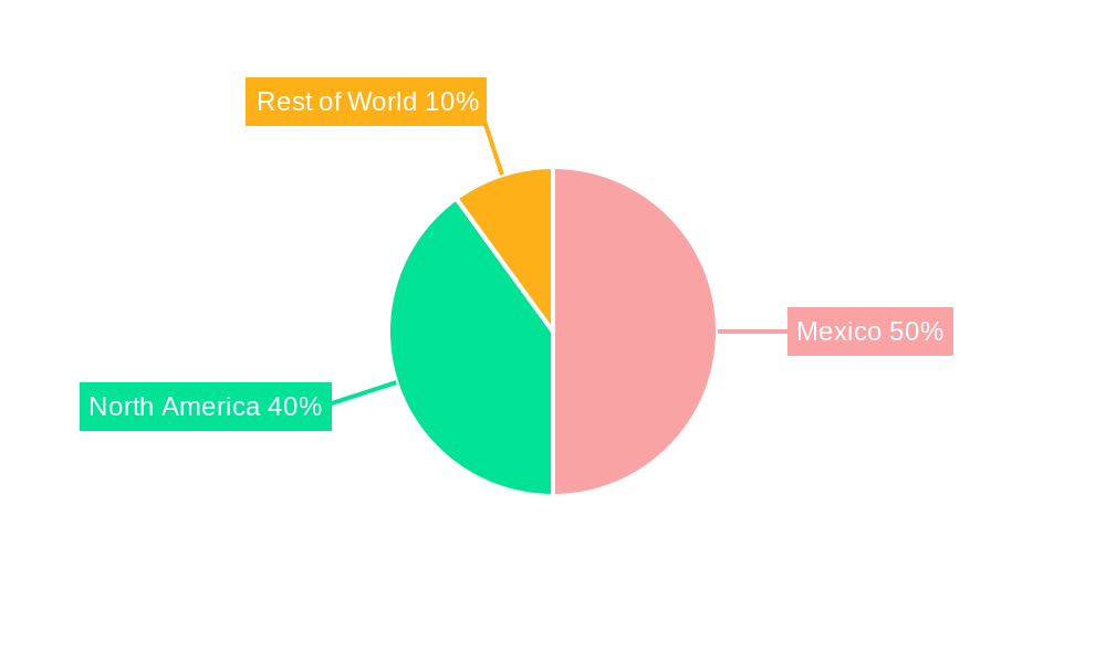 Mexico Data Center Market Regional Share