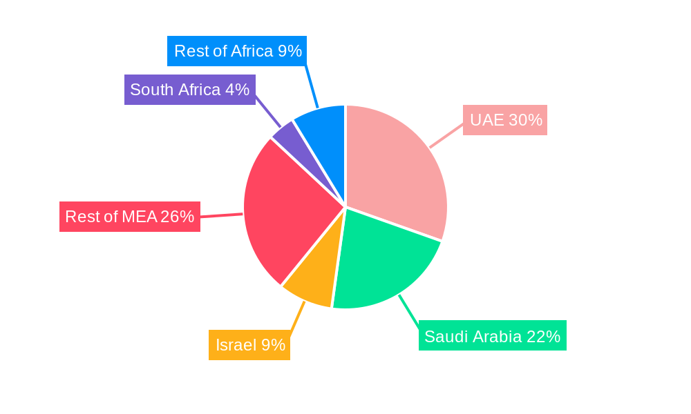 Middle East & Africa Location Analytics Industry Regional Share