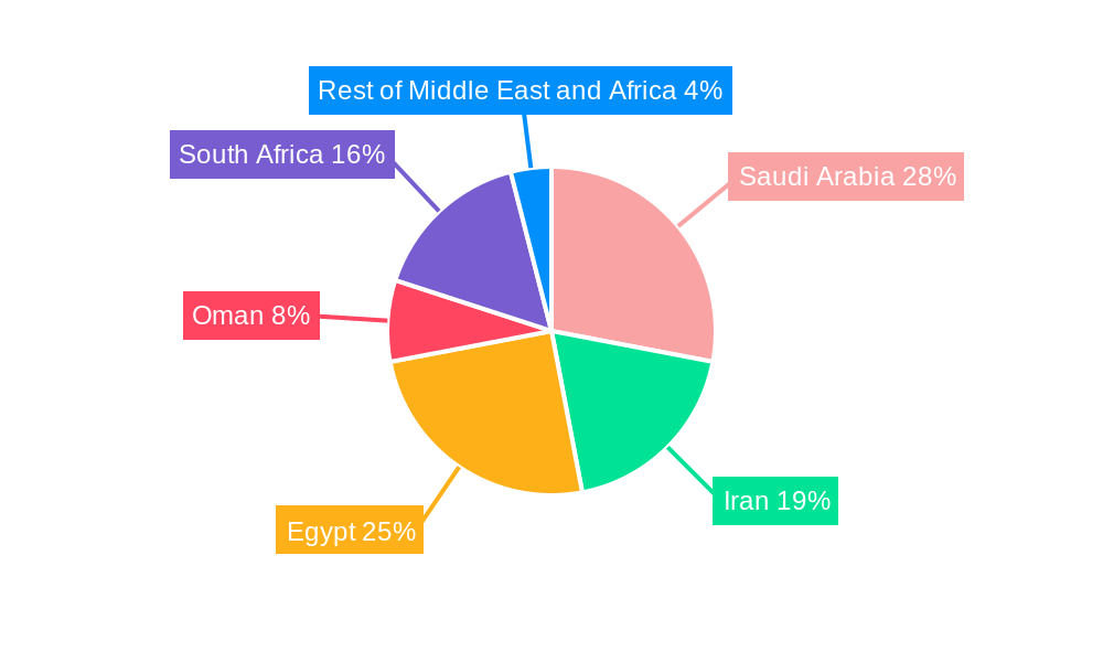 Middle East And Africa Diabetes Care Devices Market Regional Share
