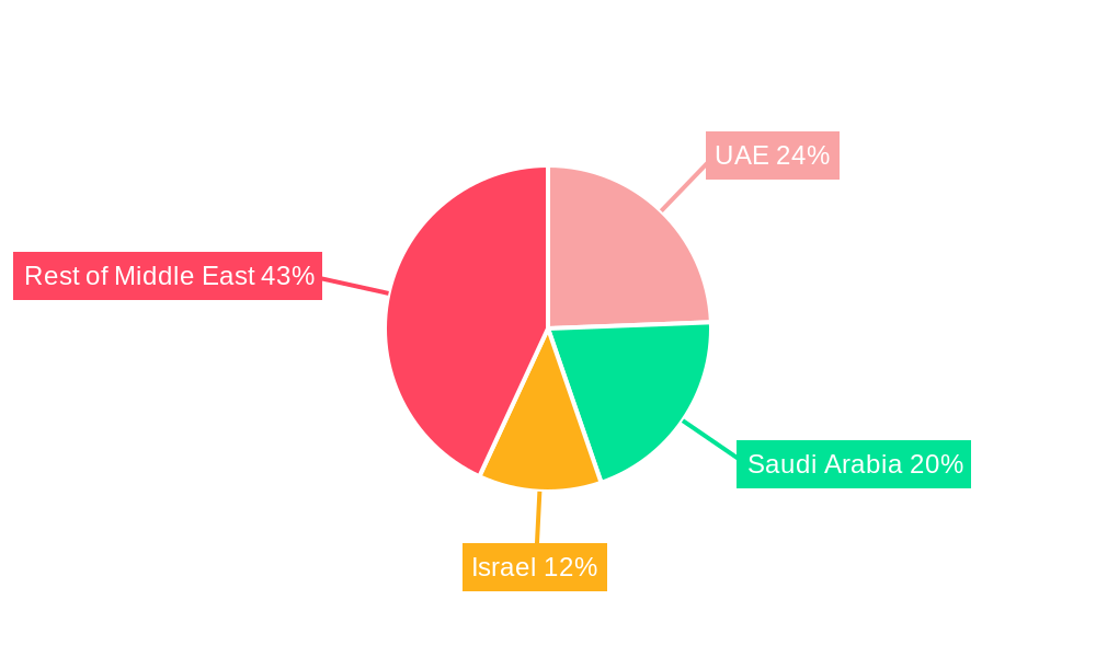 Middle East Data Center Storage Market Regional Share