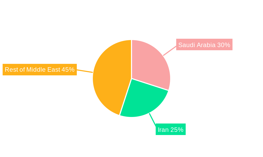 Middle East Feed Amino Acids Market Regional Share
