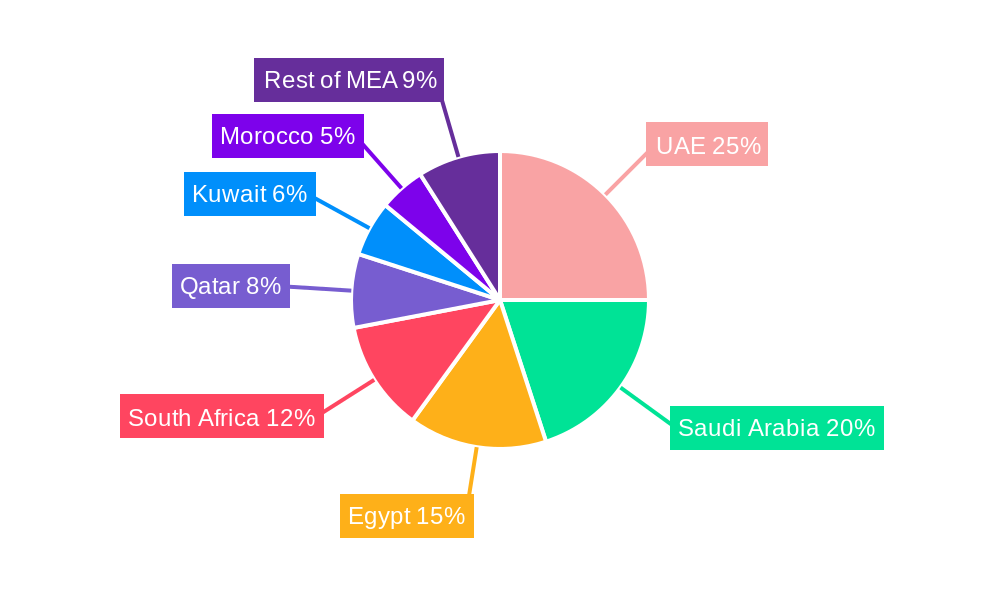 Middle East and Africa Aerosol Disinfectants Market Regional Share