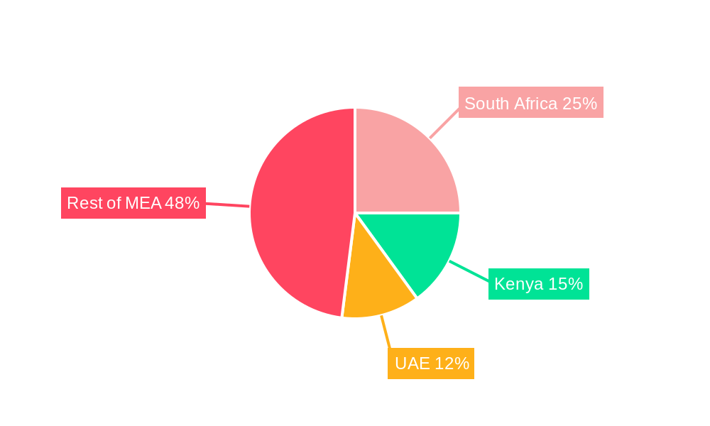 Middle East and Africa Outdoor LED Lighting Market Regional Share