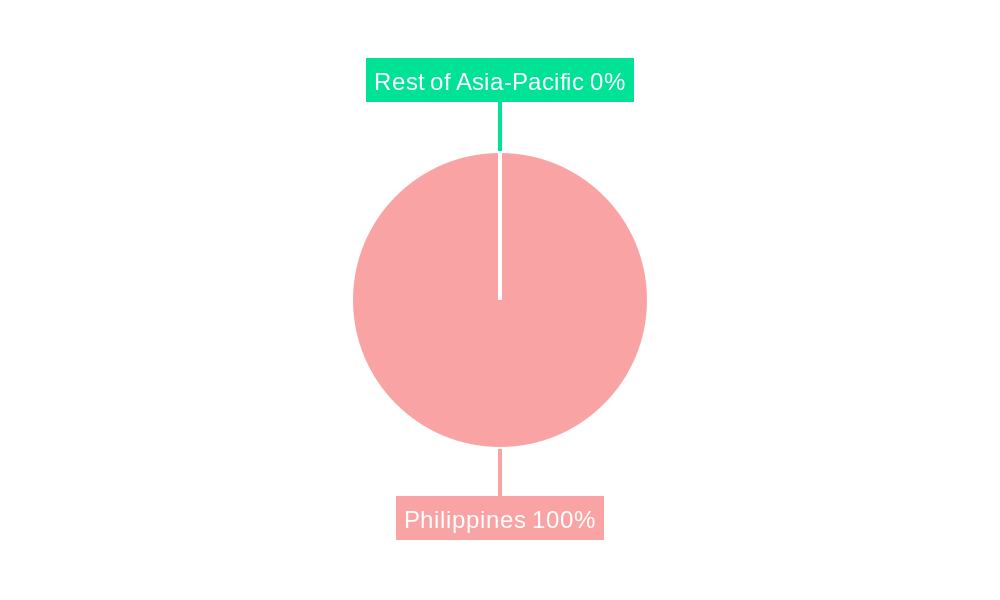 Philippines Geothermal Energy Market Regional Share