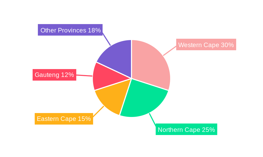 Renewable Energy Industry in South Africa Regional Share