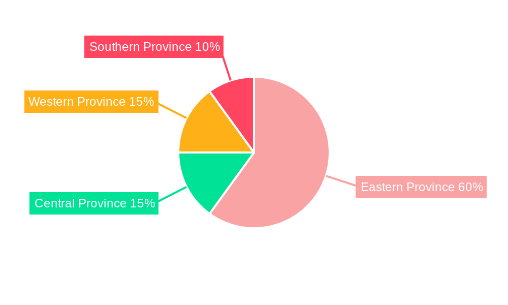 Saudi Arabia Liner Hanger Market Regional Share