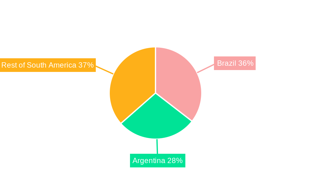 South America Canned Fruits Market Regional Share