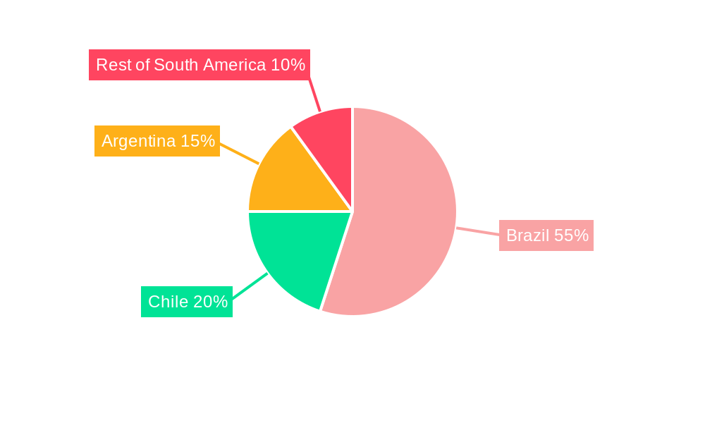 South America Data Center Physical Security Market Regional Share