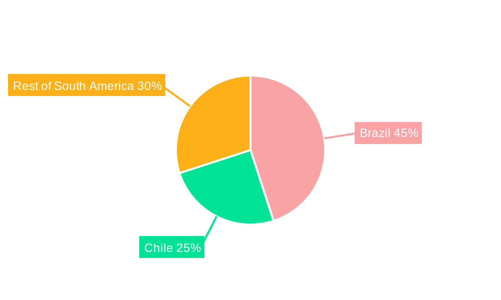 South America Data Center Rack Market Regional Share