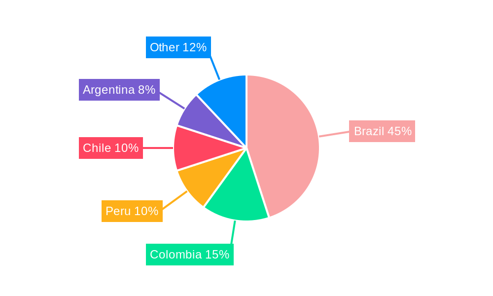 South America ETF industry Regional Share