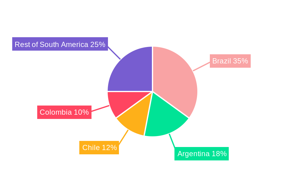 South America Freight And Logistics Market Regional Share