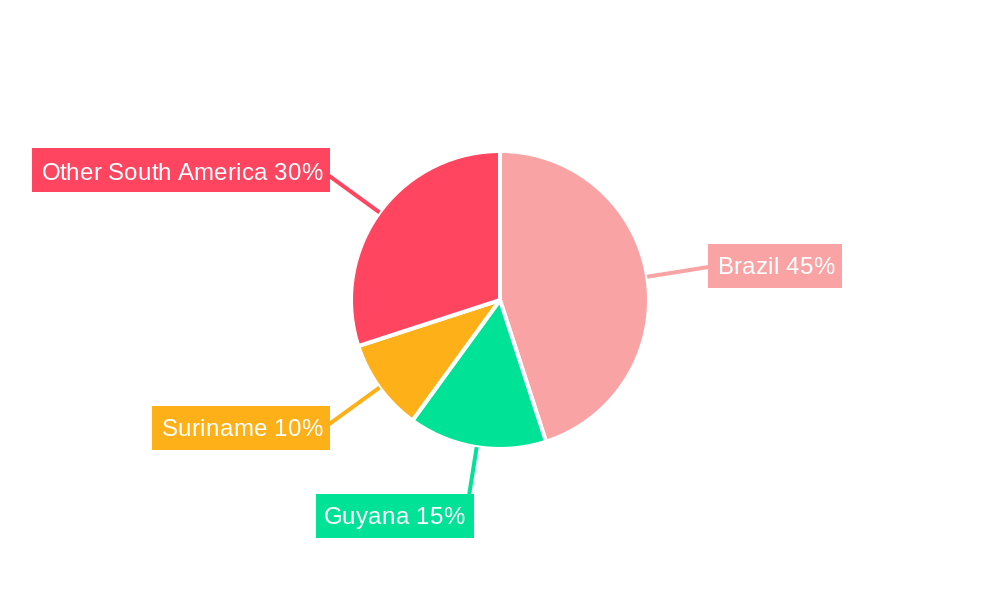 South America Offshore Helicopter Services Market Regional Share